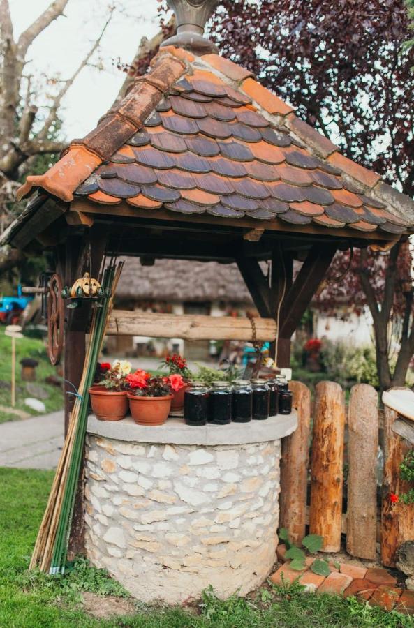 Gresna Pilnica Hotel Klenovnik Buitenkant foto